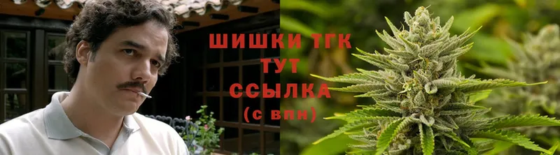 закладки  mega зеркало  Конопля SATIVA & INDICA  Ковылкино 